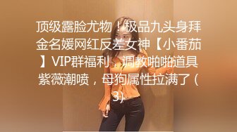 小狐狸主播酱静漂亮社会纹身小美女户外+回酒店直播大秀，小婊砸真欠操！